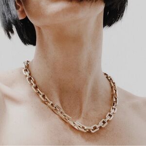Eddie Borgo Supra Link Chain /necklace in Gold Bronze 17" Length